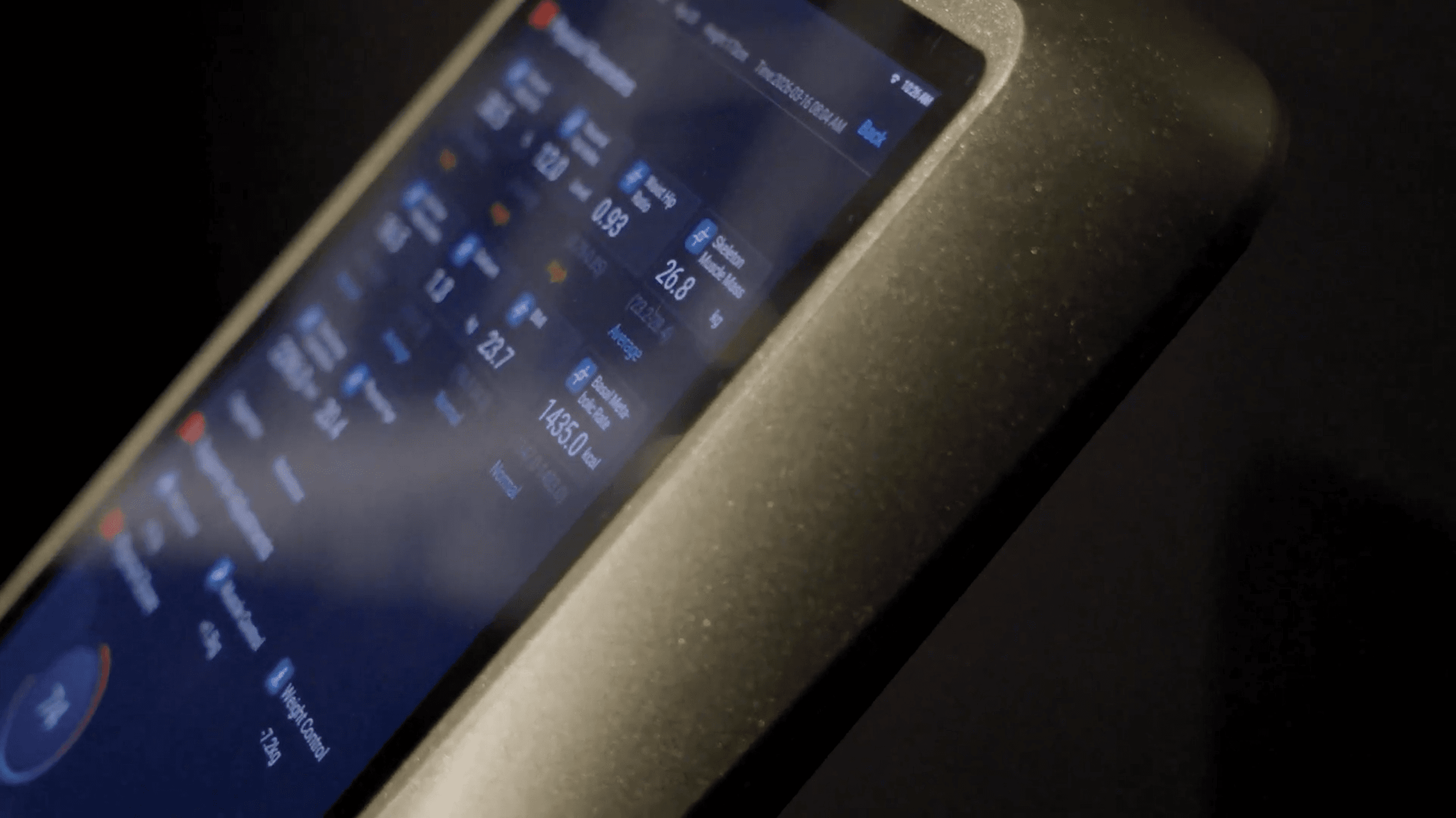 Body composition data on a connected device.